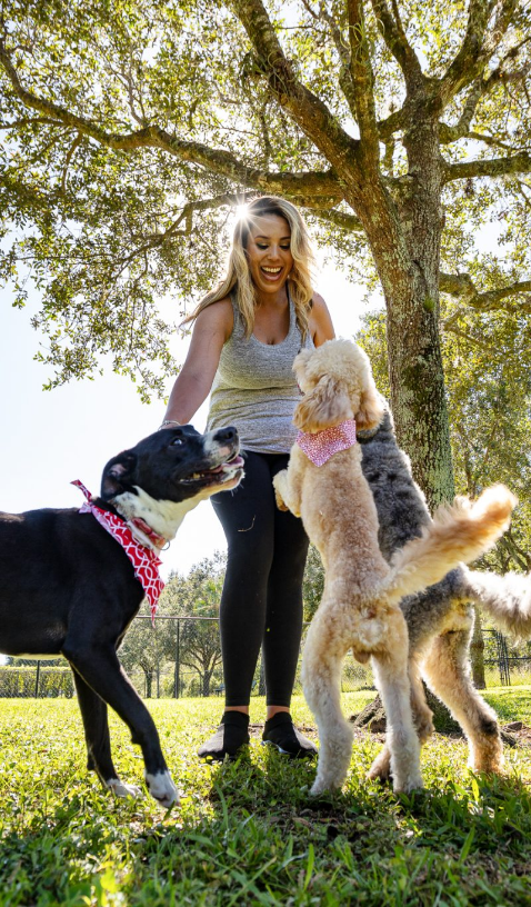 Woman playing with three dogs under an oak tree at the community dog park